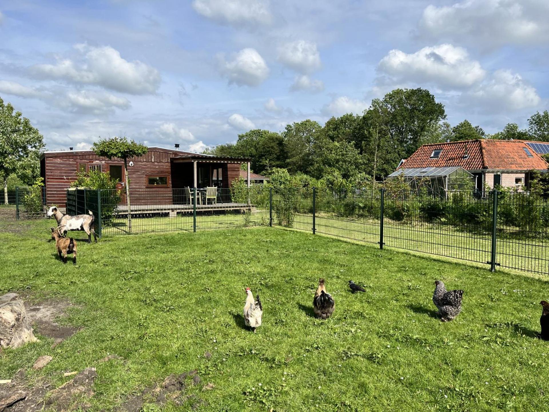 Vrijstaand Chalet Met Veel Buitenruimte En Veranda Villa Zuid-Scharwoude Exterior foto